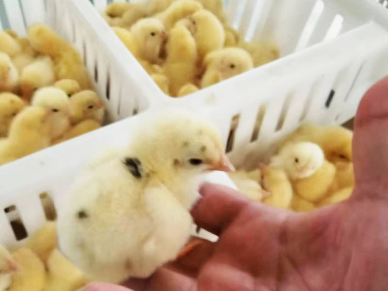 車(chē)間實(shí)拍